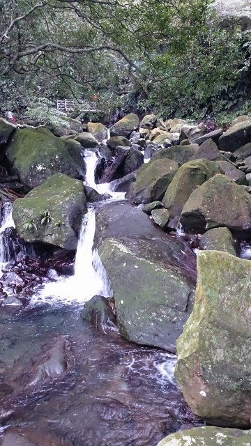 DSC_2188 (360x640)