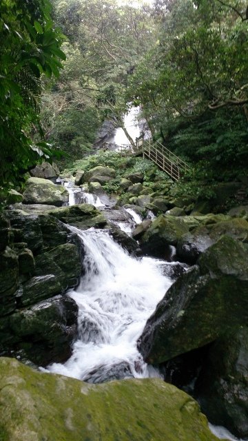 DSC_2190 (360x640)