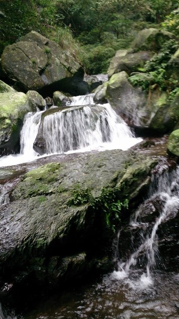 DSC_2198 (360x640)