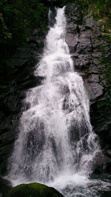 DSC_2202 (360x640)