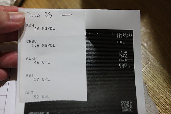 nEO_IMG_IMG_6269.jpg