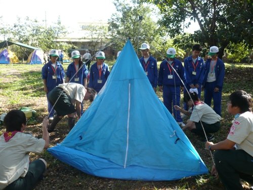 P49.JPG