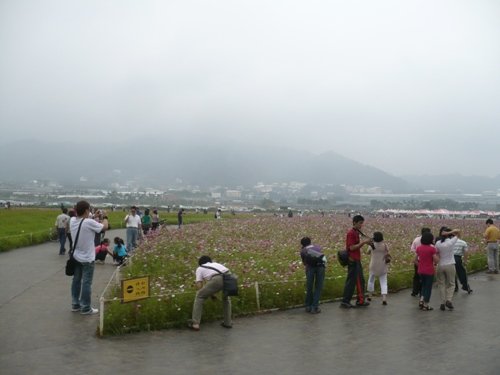 A 105.jpg