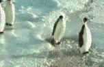 ATT00004.gif