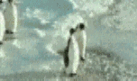 ATT00002.gif