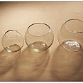 nEO_IMG_PICT2937.jpg