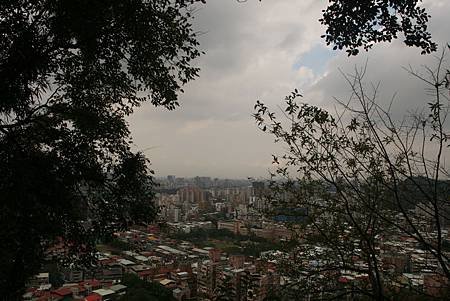 IMG_6254