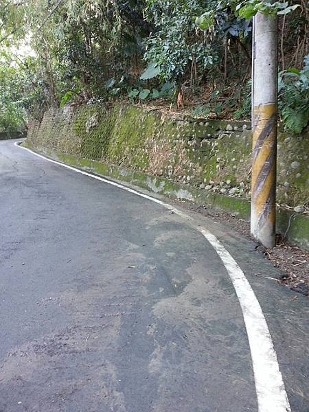 1041213中心瓏清掃_5203.jpg