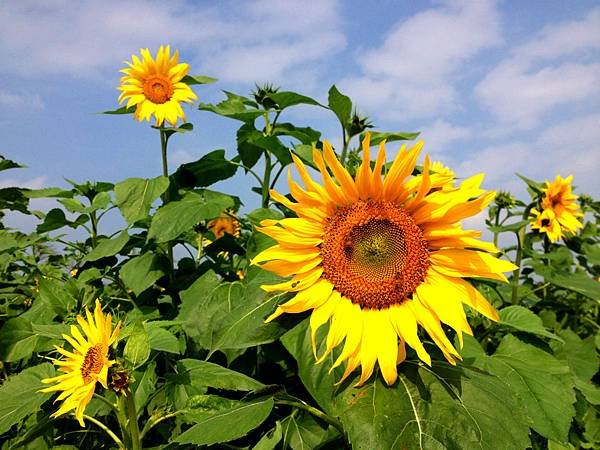 Test--9
