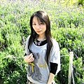1-重新曝光IMG_0137.JPG