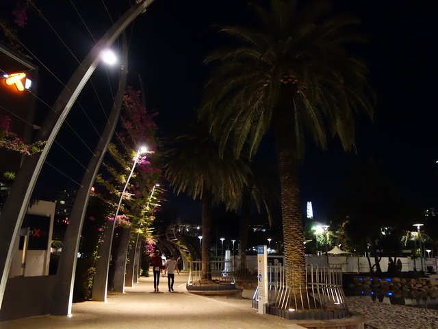 DSC00535.jpg