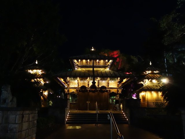DSC00539.jpg
