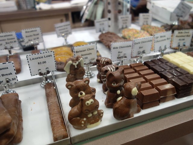 DSC00566.jpg