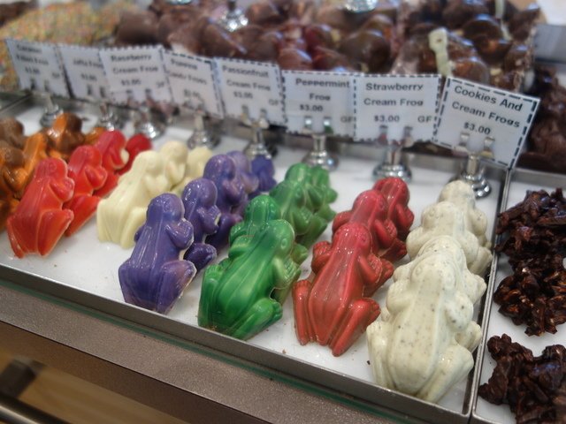DSC00567.jpg