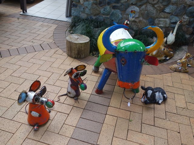 DSC00571.jpg