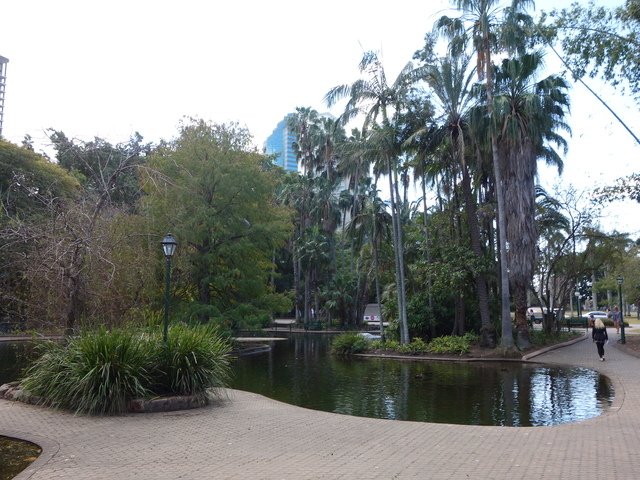 DSC00655.jpg