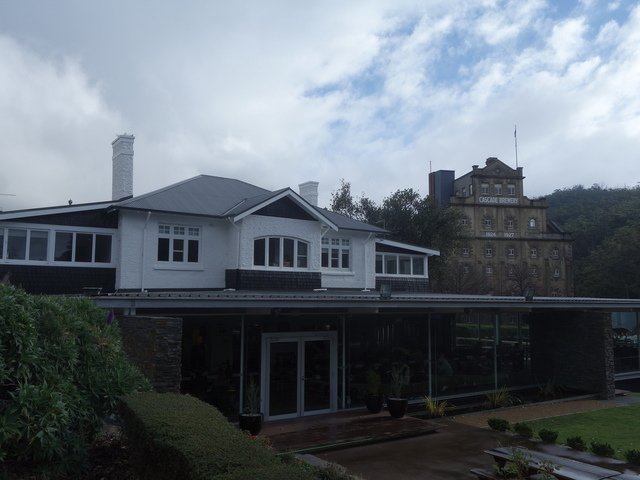 DSC00006.jpg