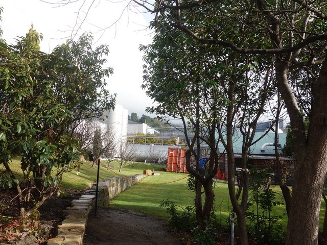 DSC00003.jpg