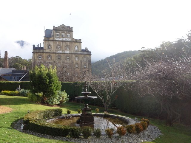 DSC00001.jpg