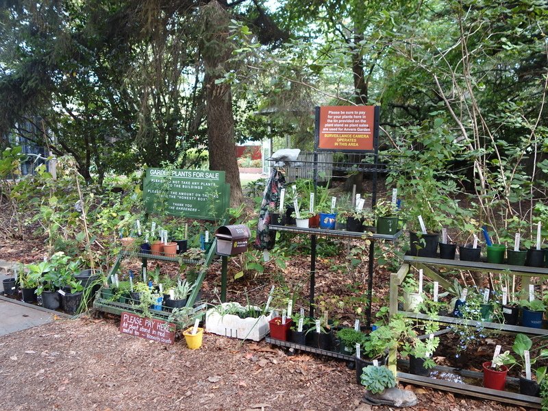 DSC08072.jpg