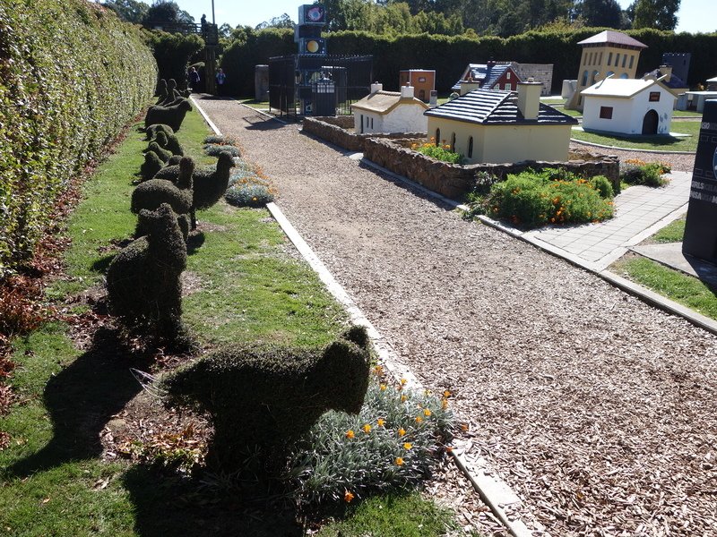 DSC08741.jpg