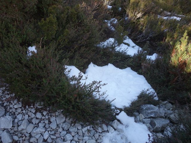 DSC09178.jpg