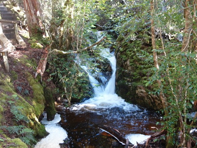 DSC09167.jpg