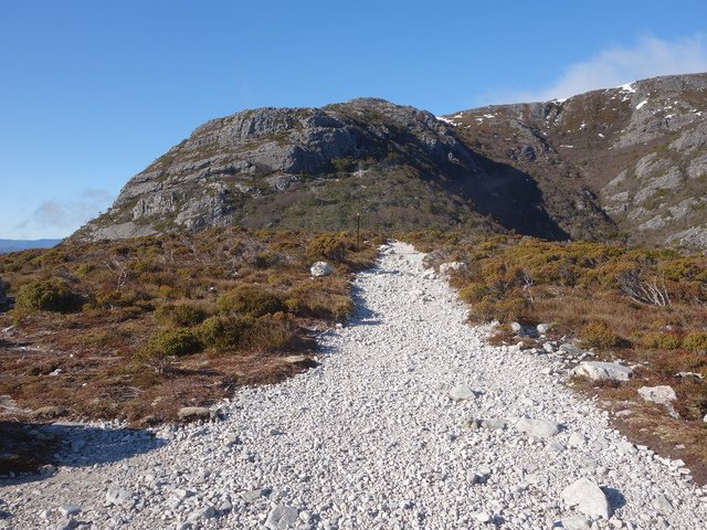 DSC09184.jpg