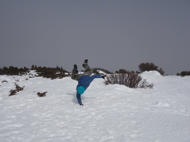 DSC09239.jpg