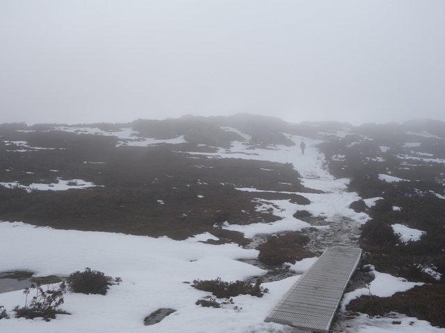 DSC09265.jpg