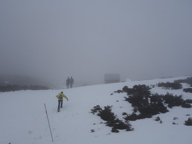 DSC09281.jpg