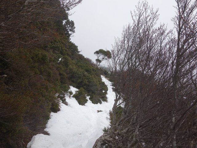 DSC09296.jpg