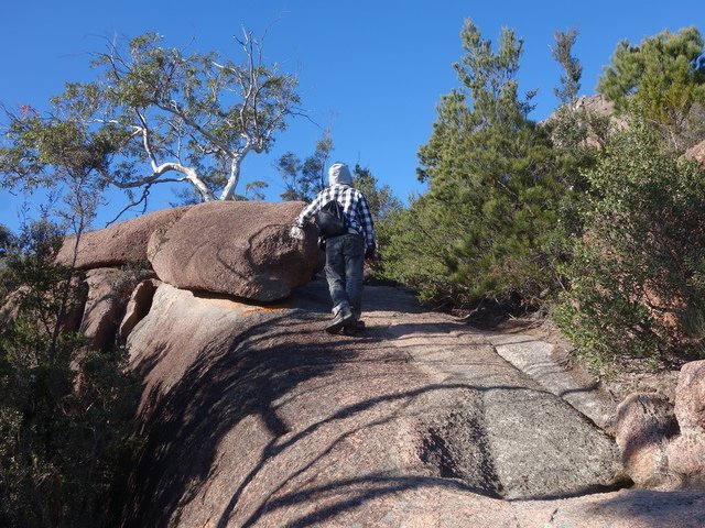 DSC09590.jpg