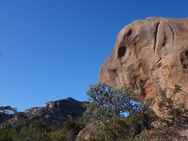 DSC09597.jpg