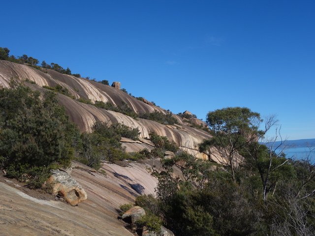 DSC09595.jpg