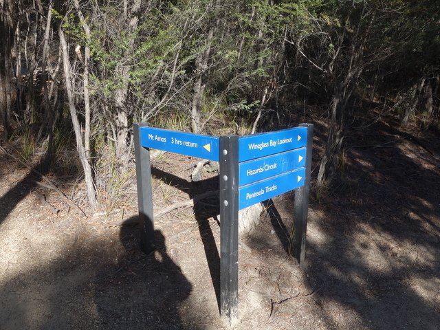 DSC09641.jpg