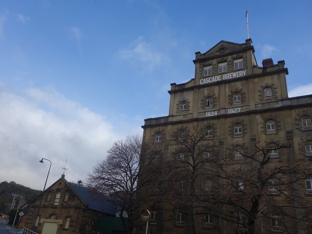 DSC09990.jpg