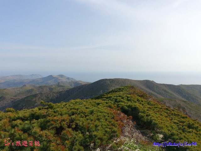 2019072817.jpg