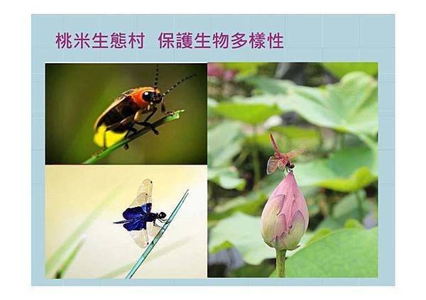 資深解說-生物多樣性20170929_頁面_89.jpg