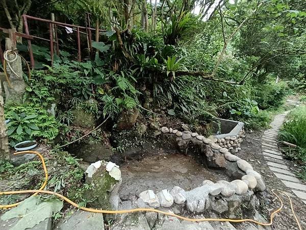 2024.6.22土城媽祖田生態園區棲地維護