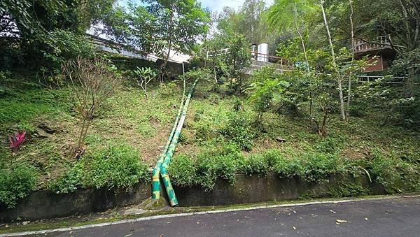 2024.11.2土城媽祖田生態園區棲地維護