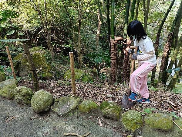 2024.11.2土城媽祖田生態園區棲地維護