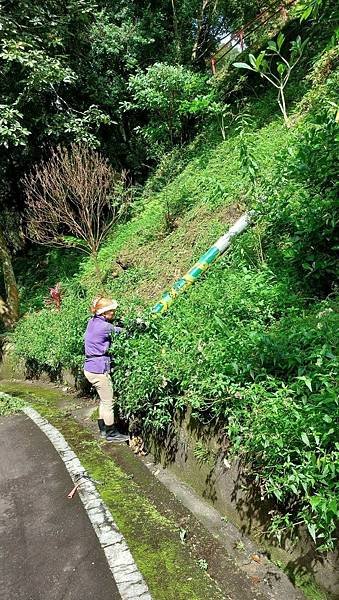 2024.11.2土城媽祖田生態園區棲地維護