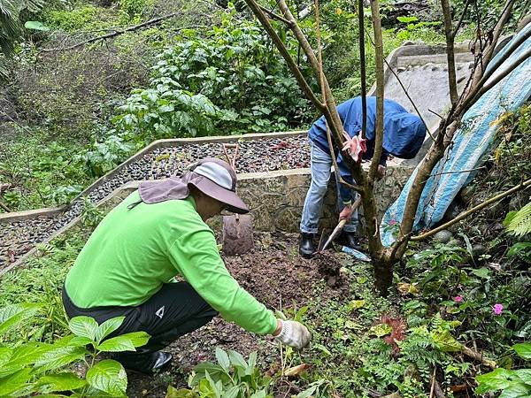 2024.11.2土城媽祖田生態園區棲地維護