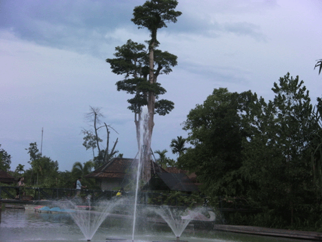 普吉島旅遊柏森渡假村-(53).gif