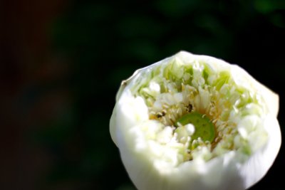 DSC_8760.jpg