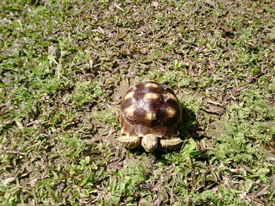 2012年3月活動 (10)