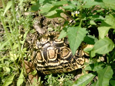 2012年3月活動 (13)