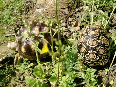 2012年3月活動 (15)
