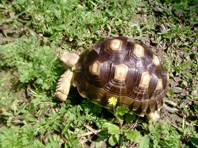 2012年3月活動 (16)